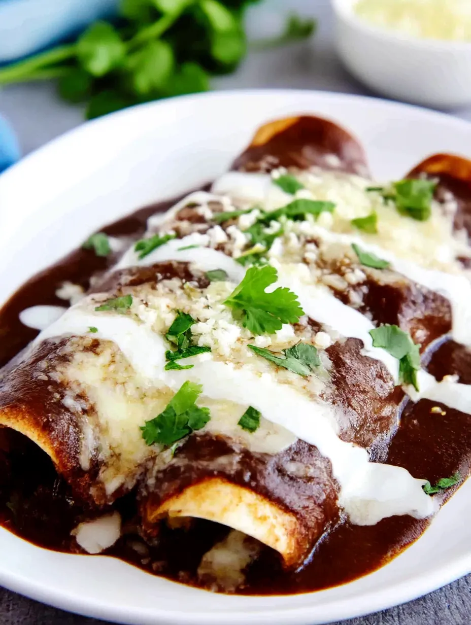Easy Mexican Enfrijoladas.